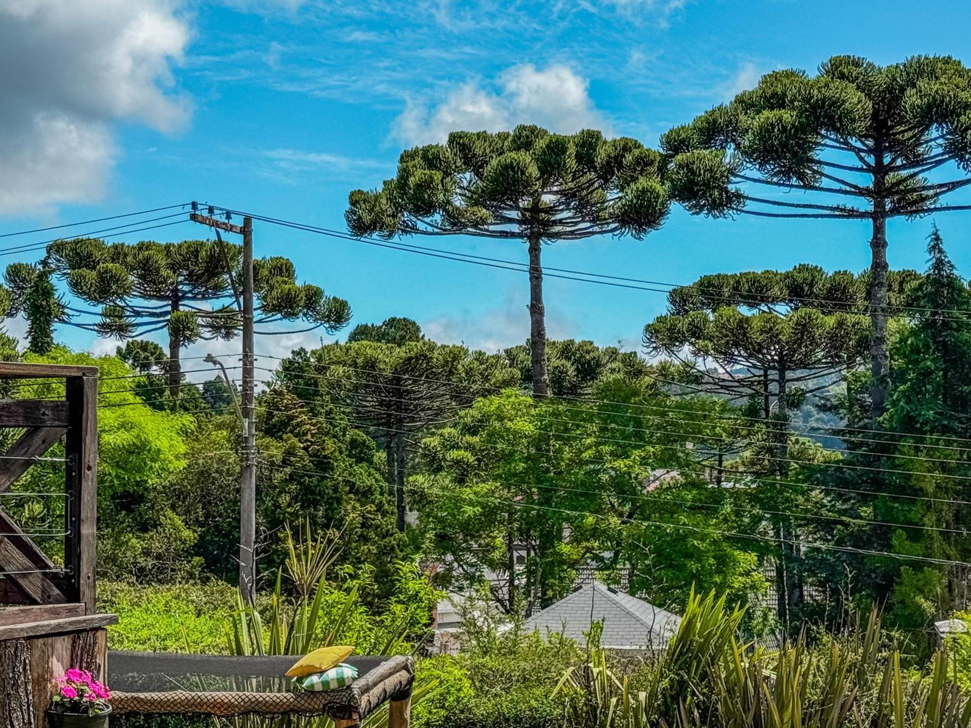 Pousada Victoria Villa By Nacional Inn - A 800 Metros Da Vila Capivari Campos do Jordão Exterior foto